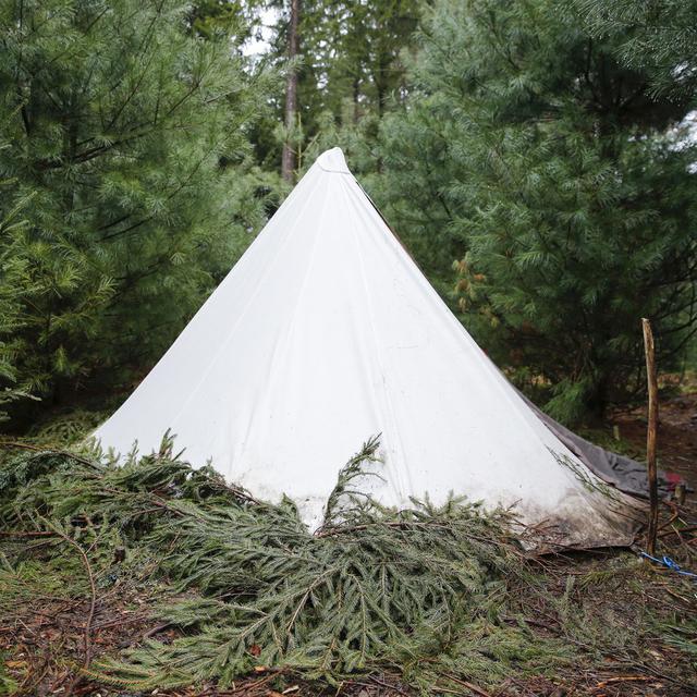 En décrochage scolaire, un groupe de jeune avait monté une tente dans la forêt de Bremgarten à Berne, et y a vécu pendant plus d'un an en 2015. [Keystone - Peter Klaunzer]