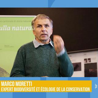 Marco Moretti, expert scientifique en biodiversité et écologie de la conservation à l'Institut Fédéral de Recherche sur la Forêt, la Neige et le Paysage (Wsl). [RTS]