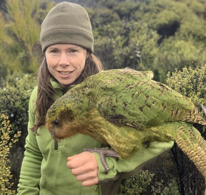 Deidre Vercoe est la responsable du programme gouvernemental de conservation du kakapo. [Department of Conservation, New Zealand - Andrew Digby]