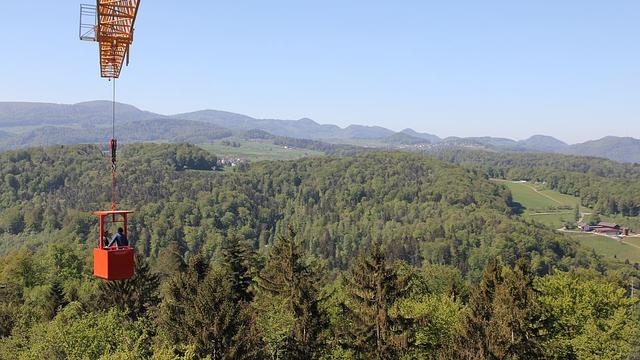 Après la sécheresse de l'été 2018, les forêts durablement éprouvées [Université de Bâle]