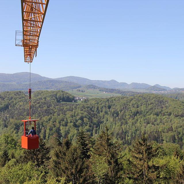 Après la sécheresse de l'été 2018, les forêts durablement éprouvées [Université de Bâle]