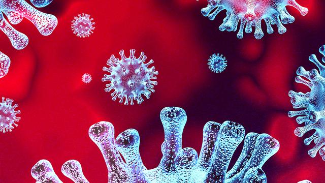 Tous les sujets de "CQFD" consacrés au coronavirus.
lightsource
Depositphotos [lightsource]