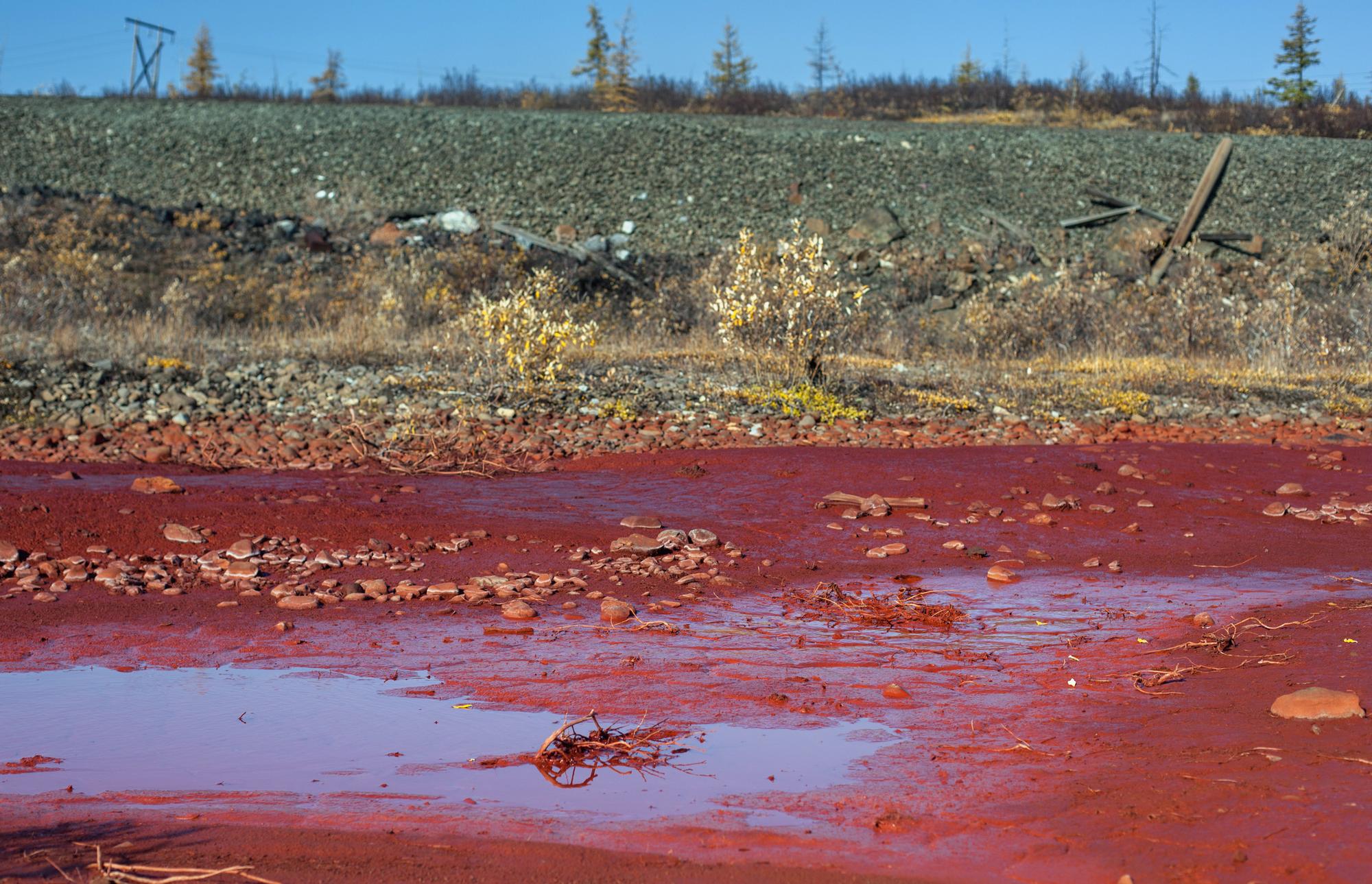 Jeudi 8 septembre 2016: une rivière s'est transformée en fleuve rouge après une pollution dans la région de Norilsk, en Sibérie russe. [afp - Greenpeace/Liza Udilova]