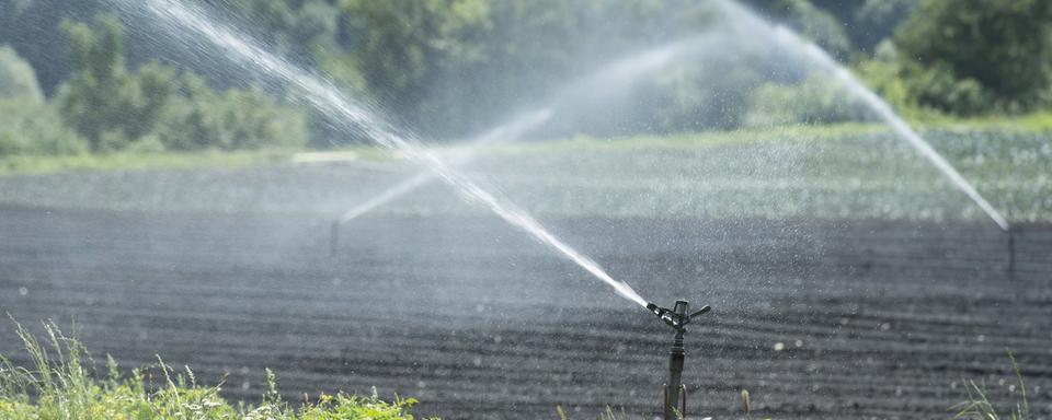 Une vingtaine de communes bernoises seront bientôt libérées du chlorothalonil dans l’eau potable. [KEYSTONE/Thomas Delley]