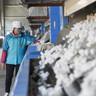 Un moulin à coton dans la province chinoise du Xinjiang (image d'illustration). [Xinhua via AFP - Ding Lei]