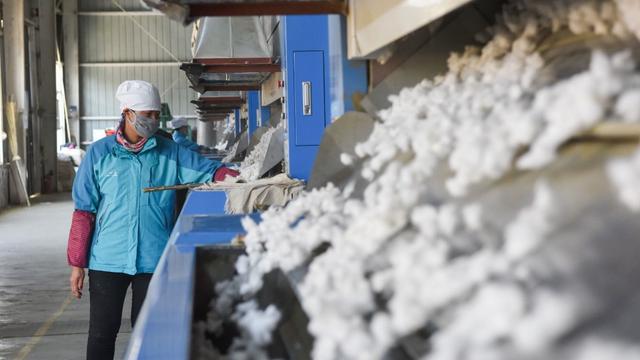 Un moulin à coton dans la province chinoise du Xinjiang (image d'illustration). [Xinhua via AFP - Ding Lei]