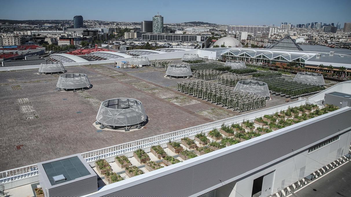 Le rooftop maraîcher d'Agripolis a vu le jour sur le toit du Palais des expositions de Paris. [keystone - Mohammed Badra]