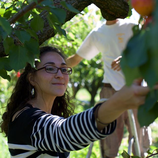 Leila Chakroun, assistante doctorante à l'Institut de Géographie et Durabilité de l'Université de Lausanne. [Diana Ledermann]