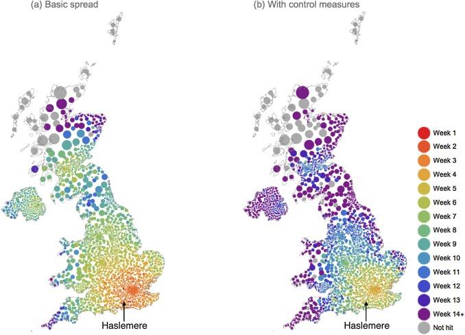 La propagation du virus virtuel sans (gauche) ou avec (droite) des mesures d'hygiènes. [BBC Pandemic]