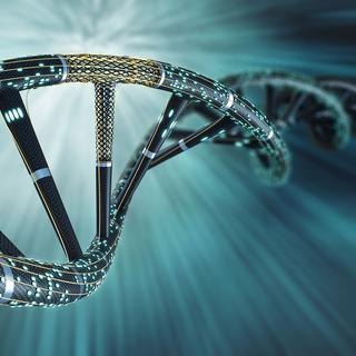 Depuis plusieurs années, les laboratoires tentent de démontrer l'incroyable potentiel de stockage de l'ADN artificiel. [Science Photo Library/AFP - Sergii Iaremenko]