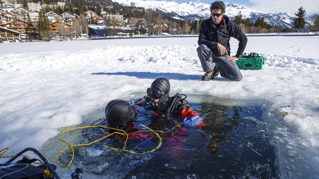 Une plongée sous la glace de l'étang de la Moubra à Crans-Montana. [Keystone - Salvatore Di Nolfi]