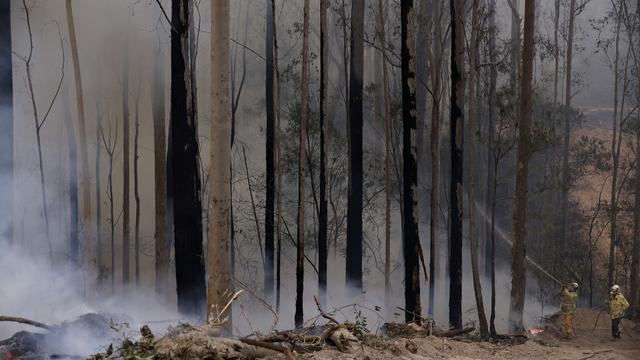 Les pompiers australiens sont optimistes sur le contrôle des feux qui ravagent le pays depuis plusieurs mois. [AP Photo/Keystone - Rick Rycroft]