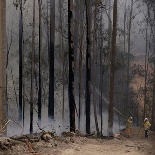 Les pompiers australiens sont optimistes sur le contrôle des feux qui ravagent le pays depuis plusieurs mois. [AP Photo/Keystone - Rick Rycroft]