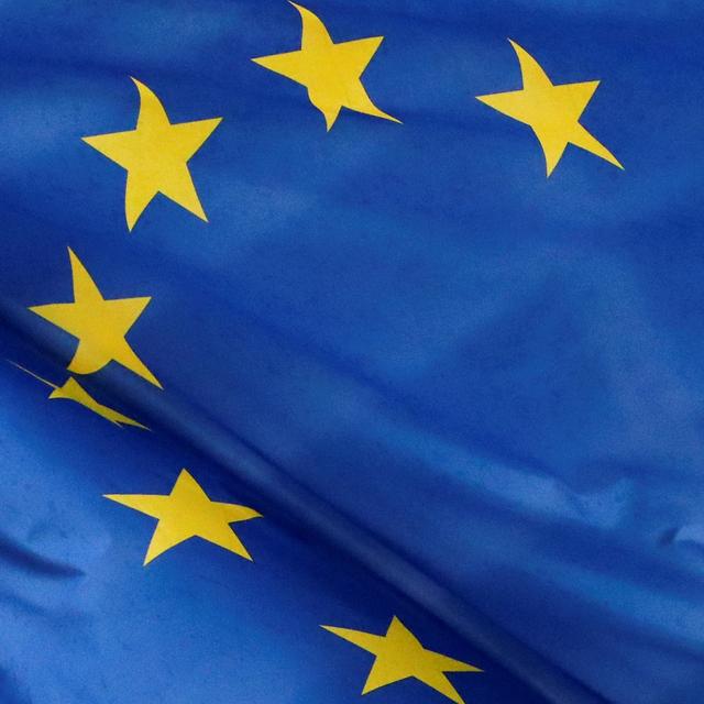Le drapeau de l'Union européenne. [Reuters - Yves Herman]