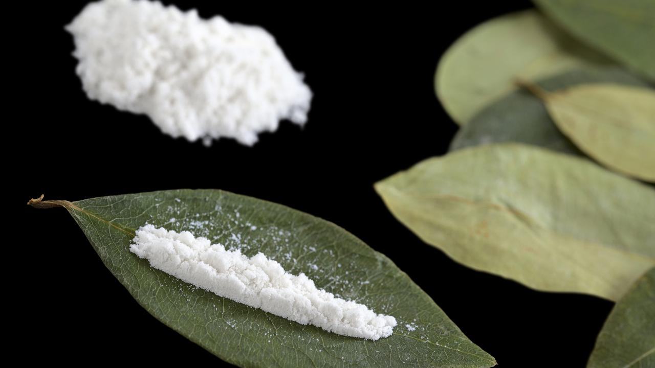 De la cocaïne et des feuilles de coca, dont le produit est extrait. [Fotolia - Ildi]