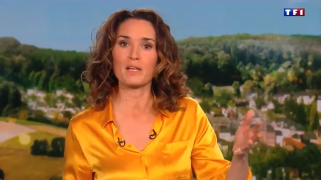 Marie-Sophie Lacarrau, qui a dû prendre l'antenne pour présenter les excuses de TF1 au sujet des problèmes techniques rencontrés par la chaîne ce jeudi, a remplacé en début d'année Jean-Pierre Pernaut, le présentateur historique du 13H00. [Capture d'écran/TF1]