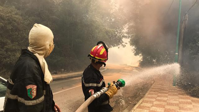 Un pompier utilise un tuyau d'arrosage lors d'un incendie de forêt dans le village d'Ain al-Hammam dans la région de Tizi Ouzou, à l'est d'Alger. [Reuters - Abdelaziz Boumzar]