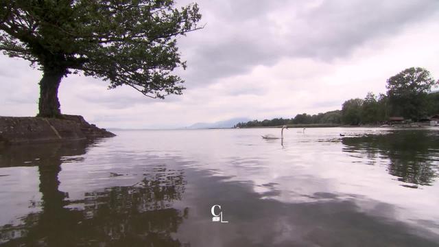 Les origines du nom de la commune La Tène (NE)