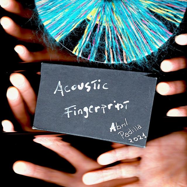 Acoustic Fingerprint de April Padilla, notre invitée lors de l'Art's Birthday 2021 sur Espace 2. [Abril Padilla]