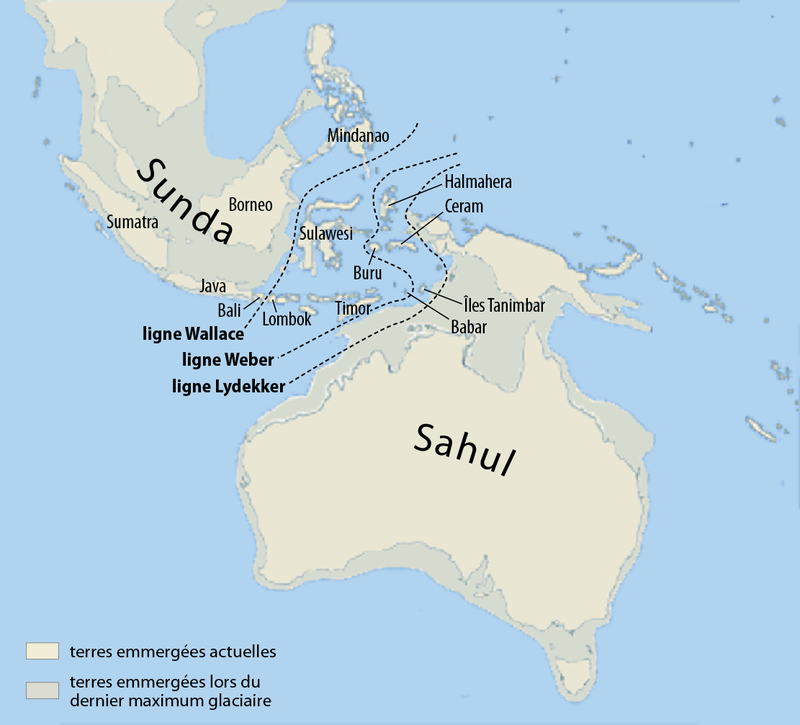 Carte de Sunda et Sahul. [CC BY-SA 3.0/Wikimedia - Maximilian Dörrbecker (Chumwa)]