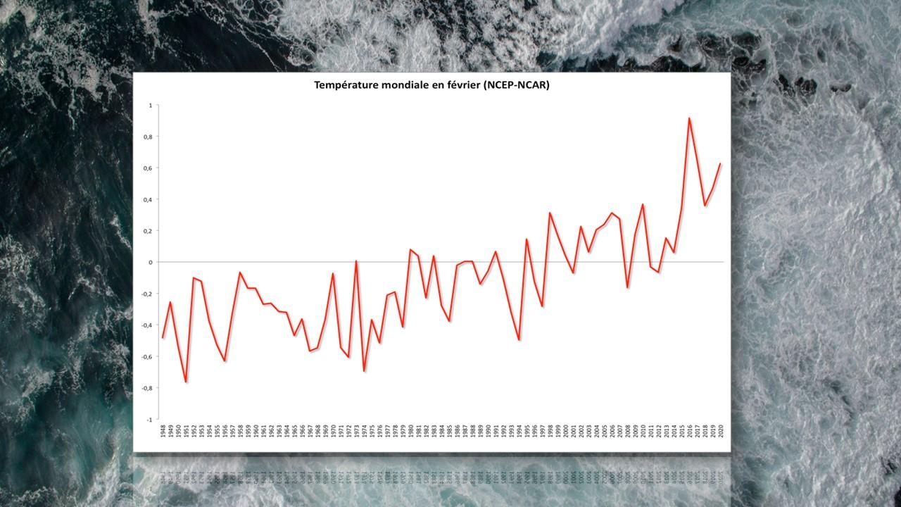 Température mondiale en février de 1948 à 2020 [NCEP/NCAR]