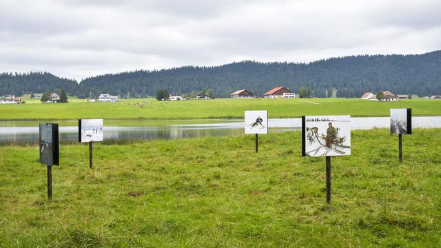 Exposition Naturel? - Lac des Taillères. [plus1000.ch / Céline Clanet - Patrick Guerne]