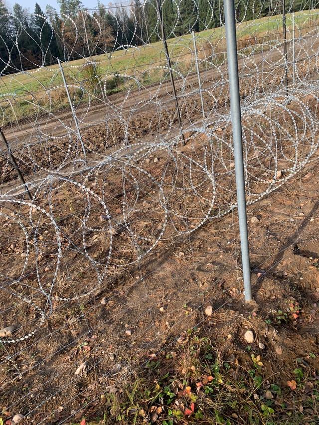 Le mur de barbelés à la frontière entre la Biélorussie et la Pologne, pris en photo par l'un des réfugiés syriens avant la confiscation de son téléphone.