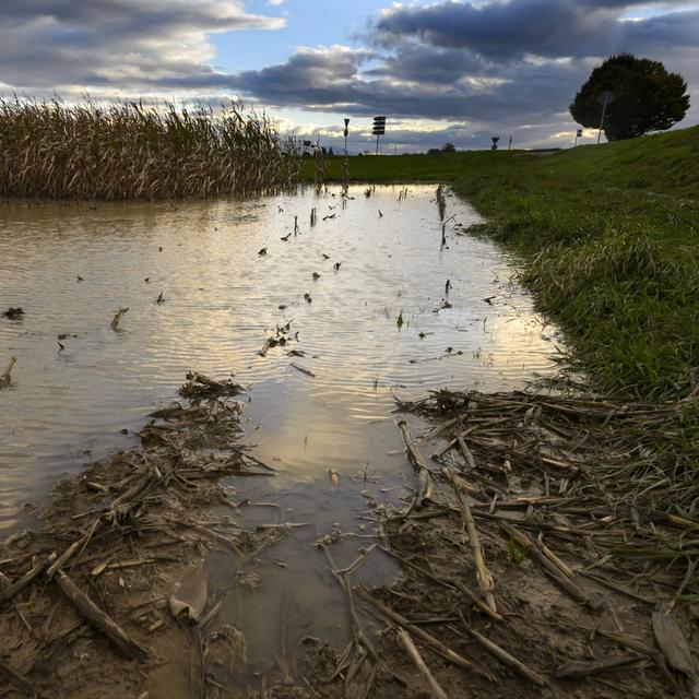 Le printemps 2021 aura gratifié la Suisse de températures particulièrement basses et de pluie. [Keystone - Laurent Gillieron]