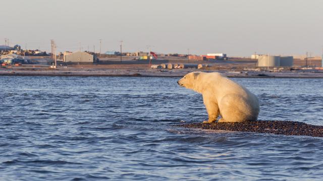 Washington suspend les forages de pétrole dans une zone protégée de l'Arctique. [AFP - Sylvain Cordier]