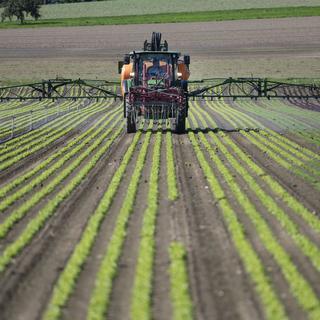 Un tracteur applique des pesticides sur des salades. [Keystone - Christian Beutler]