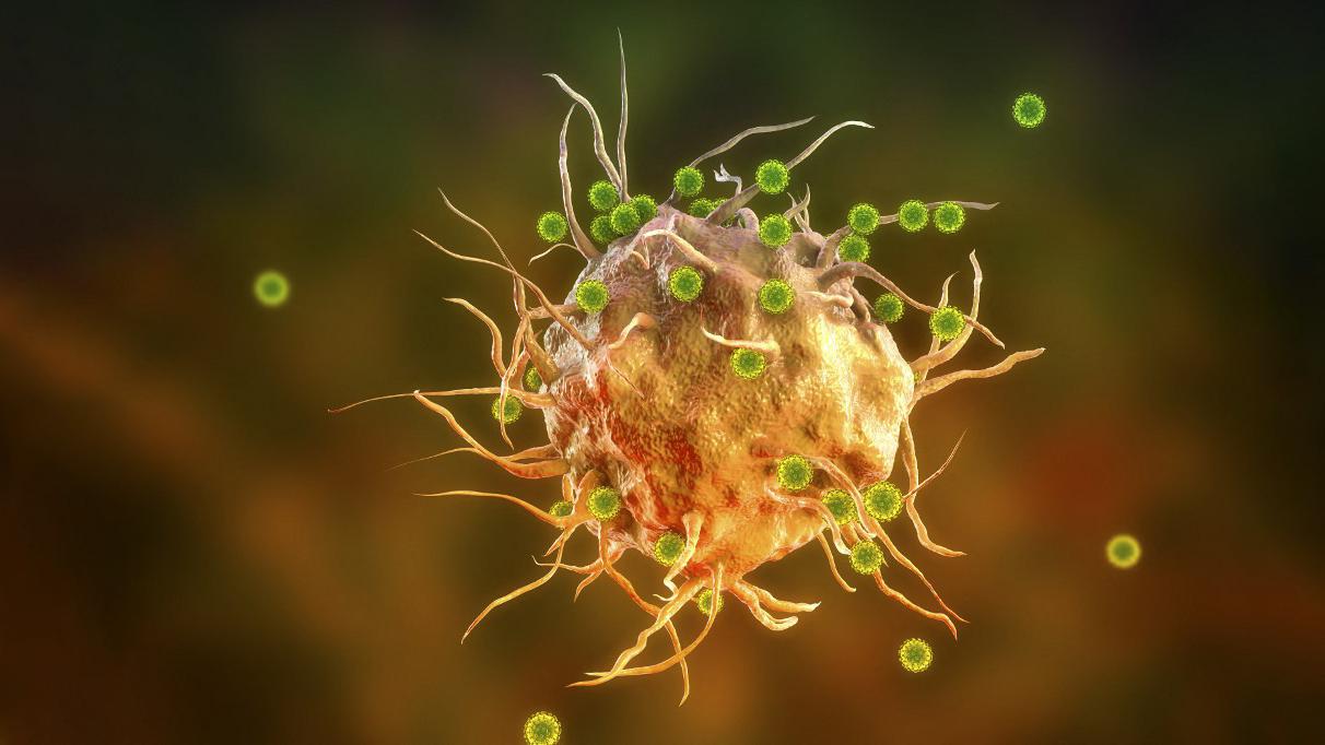 Une illustration de virus du SARS-CoV-2 attaquant une cellule immunitaire. [Science Photo Library via AFP - Kateryna Kon/KKO]