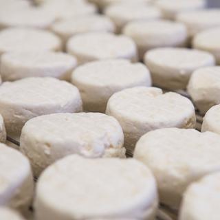 Le fromage de chèvre cartonne en Suisse romande. [AFP - Yann Castanier / Hans Lucas]