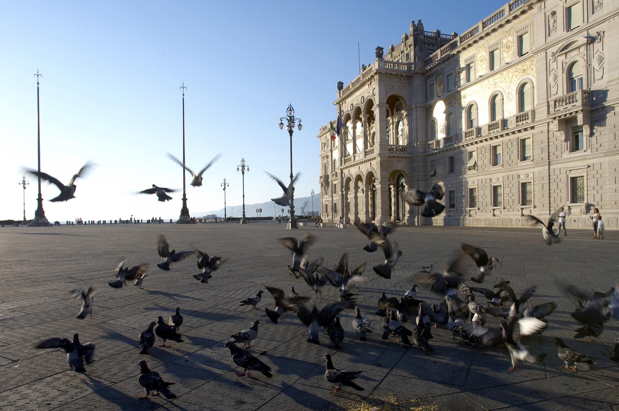A Trieste. [AFP - Andrea Pistolesi]