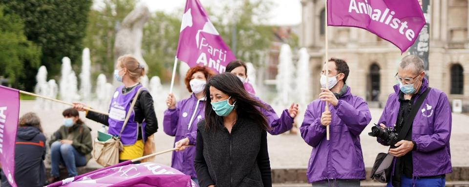 Karima Delli lors d'une manifestation contre l'élevage intensif à Lille. [AFP - Sylvain Lefevre]