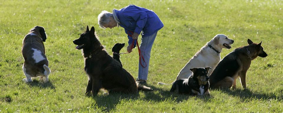 Les cours pour nouveaux et nouvelles propriétaires de chiens sont à nouveau obligatoires dans le canton de Neuchâtel depuis janvier 2021. [Keystone - Olivier Maire]