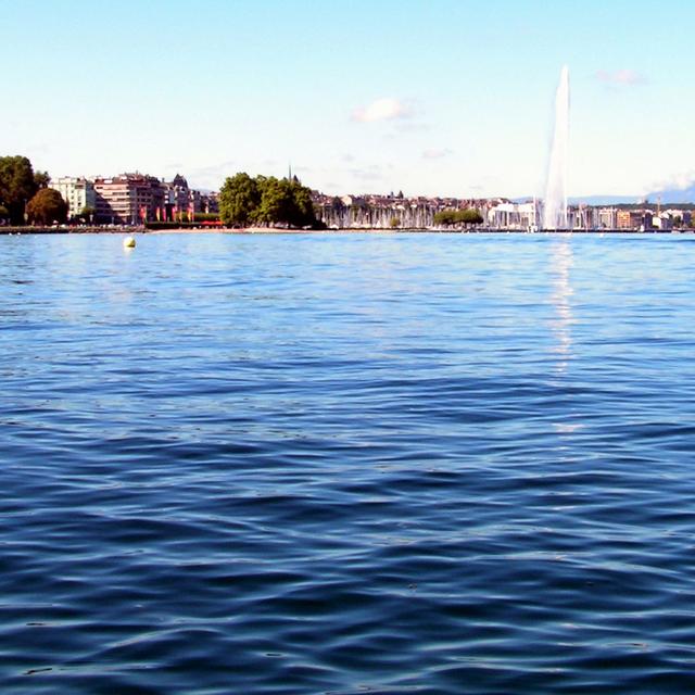 Le site du Plonjon, à Genève, avec le quai Gustave-Ador sur sa gauche. Il est localisé entre le débarcadère des Eaux-Vives, en arrière-plan, et le Port-Noir. 441 sites palafittiques ont été dénombrés en Suisse, un record dans les pays de l'Arc alpin. [Wikipédia - Romano1246]