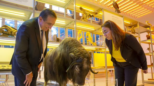 Le Palais de Rumine, à Lausanne, va être transformé en un "Palais des savoirs", qui accueillera le tout nouveau Muséum cantonal des sciences naturelles. L'ancien bâtiment du Musée de l'Elysée va lui abriter des services administratifs. [KEYSTONE - SALVATORE DI NOLFI]