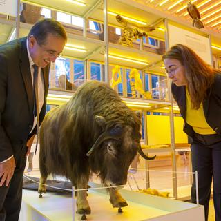 Le Palais de Rumine, à Lausanne, va être transformé en un "Palais des savoirs", qui accueillera le tout nouveau Muséum cantonal des sciences naturelles. L'ancien bâtiment du Musée de l'Elysée va lui abriter des services administratifs. [KEYSTONE - SALVATORE DI NOLFI]