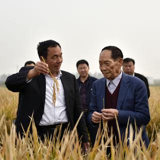 Yuan Longping, agronome, père du "riz hybride". [Chinatopix via AP/Keystone]