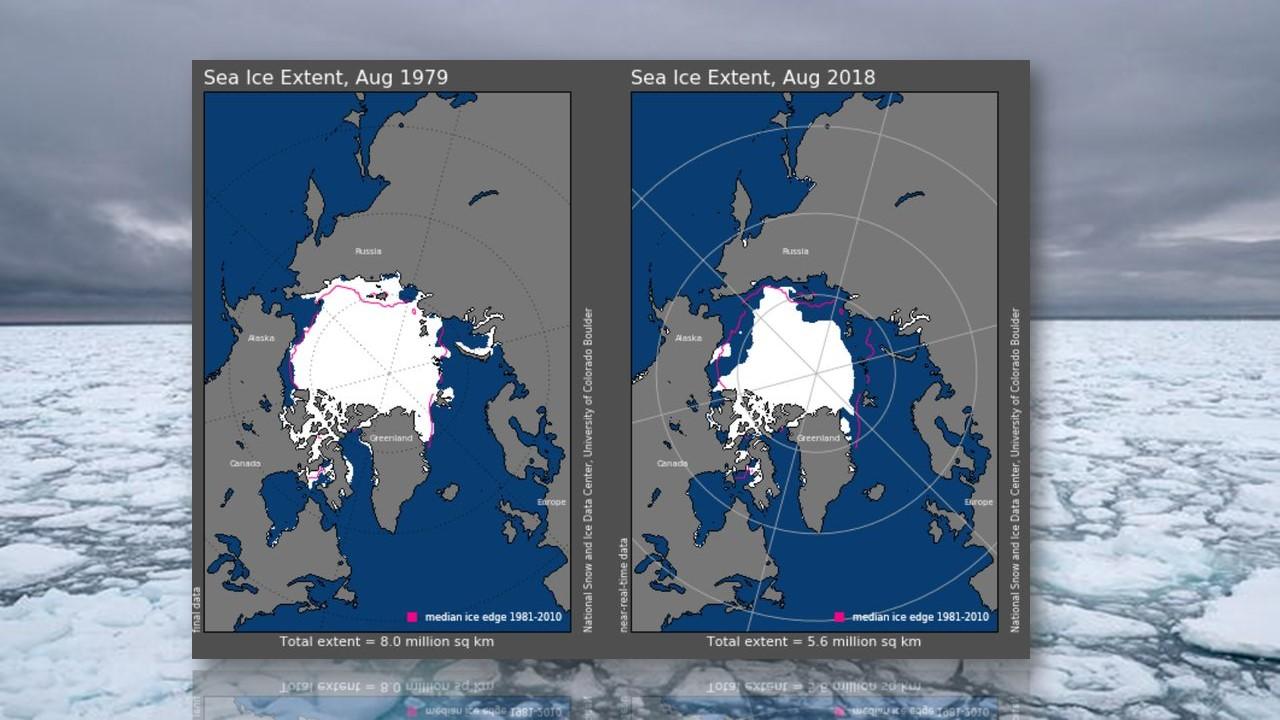 Etendue de la banquise en août 1979 (à gauche) et en août 2018 (à droite). [NSIDC]