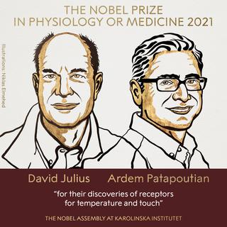 Le Nobel de médecine 2021 a été attribué à David Julius et Ardem Patapoutian. [Twitter - The Nobel Prize]