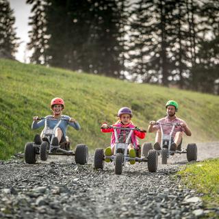 Dévaler les pistes de ski en plein été dans un cart, comme Mario, c'est possible grâce au mountain cart. [facebook.com/mountaincartvillars]