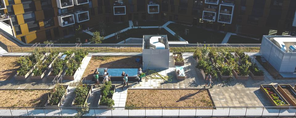 Agriculture urbaine: des bacs potagers sur les toits de nos villes. [Légumes Perchés]