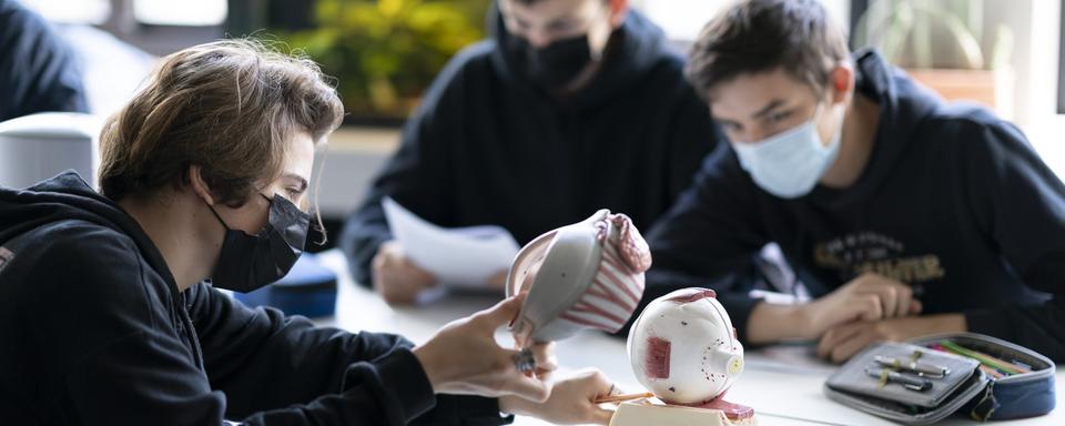 Des étudiants dans le canton de Zurich. [Keystone - Gaetan Bally]