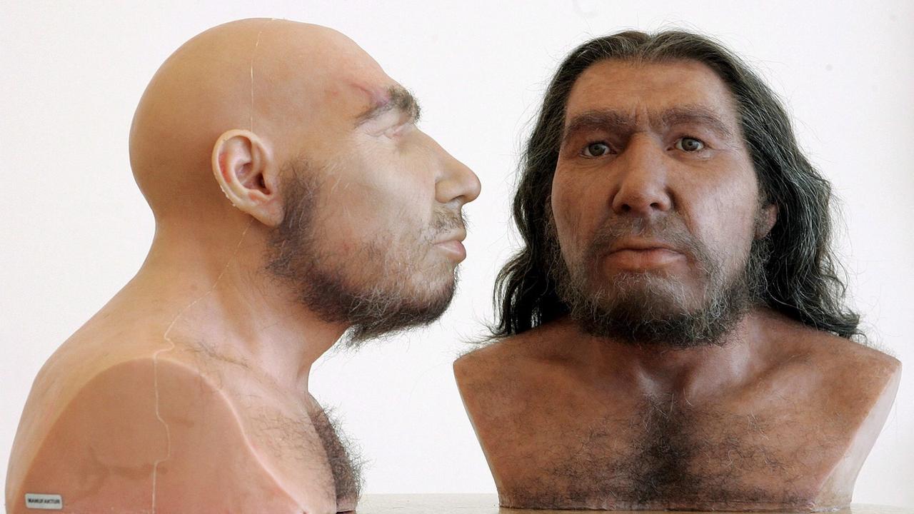 L'homme de Néandertal. [Keystone - EPA/Joerg Carstensen]