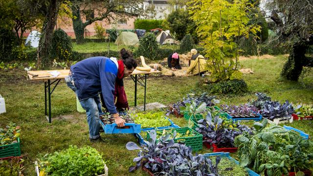 La nouvelle ZAD à Yverdon. [Keystone - Jean-Christophe Bott]