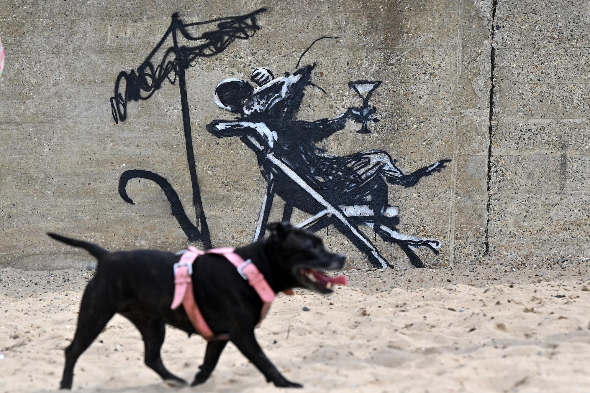 Un chien passe près du graffiti de Banksy, sur un mur de la plage de Lowestoft. [JUSTIN TALLIS / AFP - JUSTIN TALLIS]