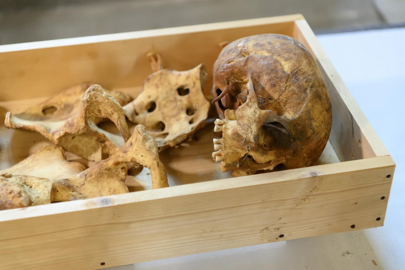 Un crâne et des ossements humains, lors de l'ouverture du tombeau de la Reine Berthe, dans l'église paroissiale. Abbatiale de Payerne, le 20 mai 2021. [Keystone - Anthony Anex]