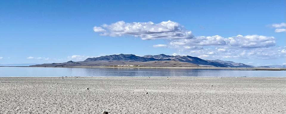 Le grand Lac salé de l'Utah s'évapore, menaçant les oiseaux migrateurs de tout le continent. [RTS - Jordan Davis]