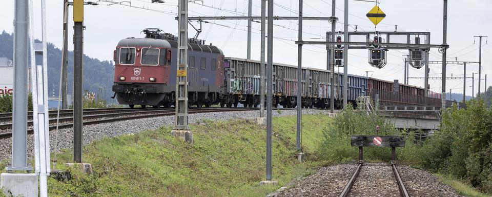 Un train de marchandises dans la région de Dietikon (ZH) en 2019. [Keystone - Gaetan Bally]